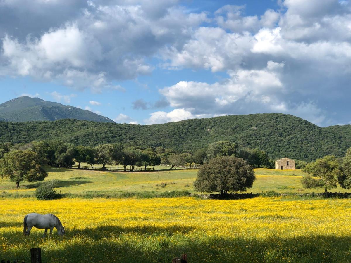 Camping Olva *** Sartène Esterno foto